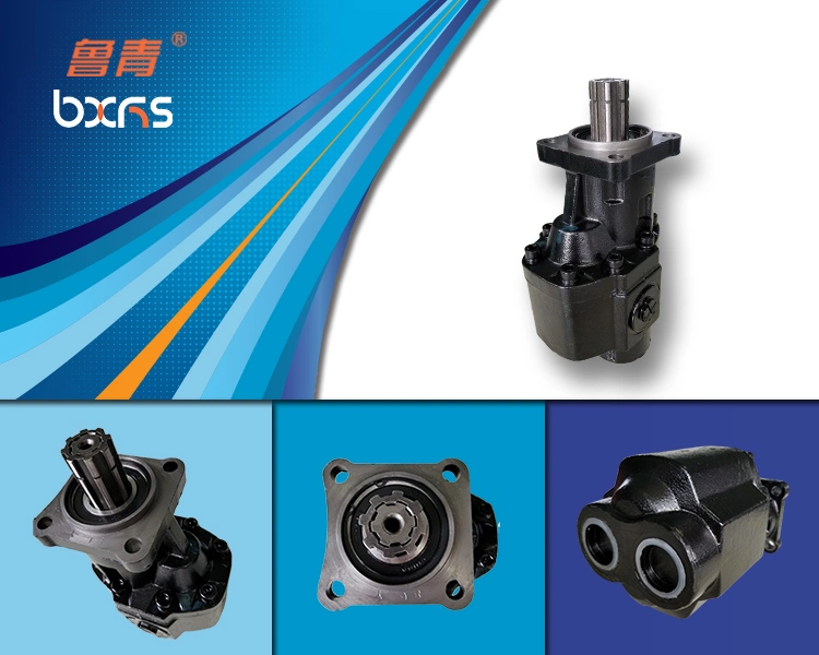 Boxinhuasheng Hydraulic Displacement 100 Ml/R Nsh Gear Pump