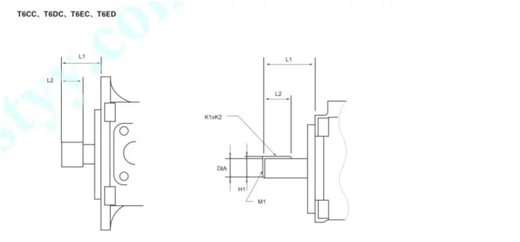 Parker Denison Chinese Manufacturer High Quality Low Noise Double Vane Pump for T6cc T6DC T6ec T6ED Oil Pump